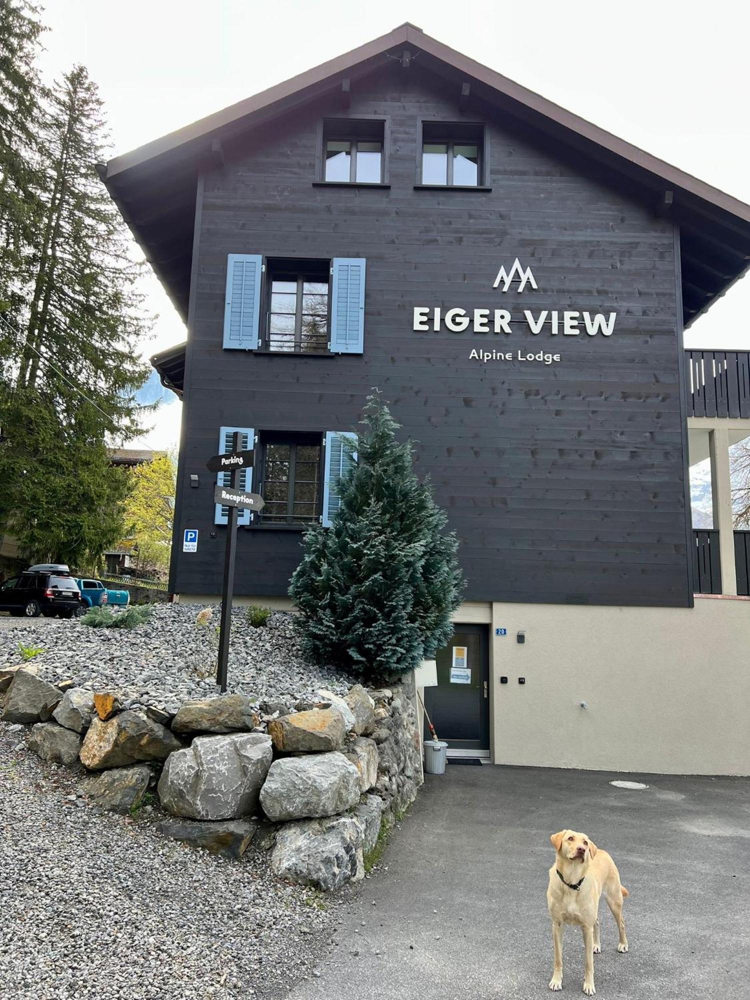 Eiger View Alpine Lodge Grindelwald Exterior foto
